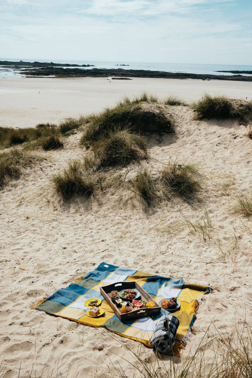 Wool Ink Blue & Yellow Picnic Blankets with Waterproof Backing